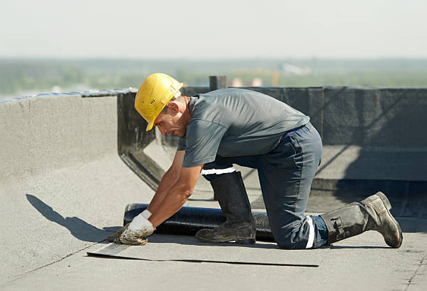 Best Geographic-Specific Insulation Services in Crozet, VA